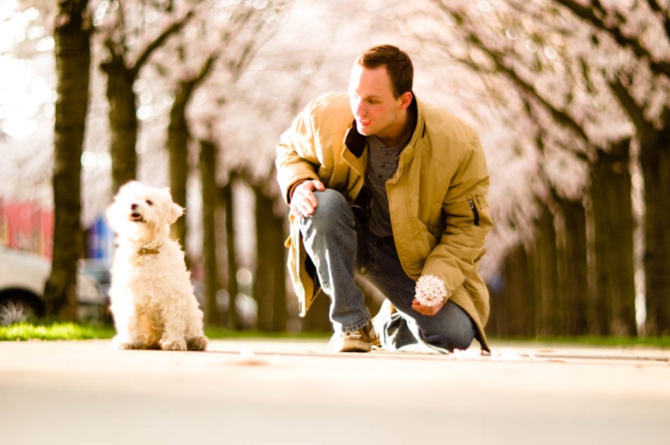 young man with white dog under cherry blossom